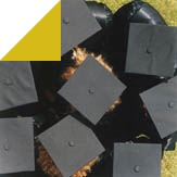 Study abroad with WSB